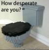 the worst toilet ever, how desperate are you?