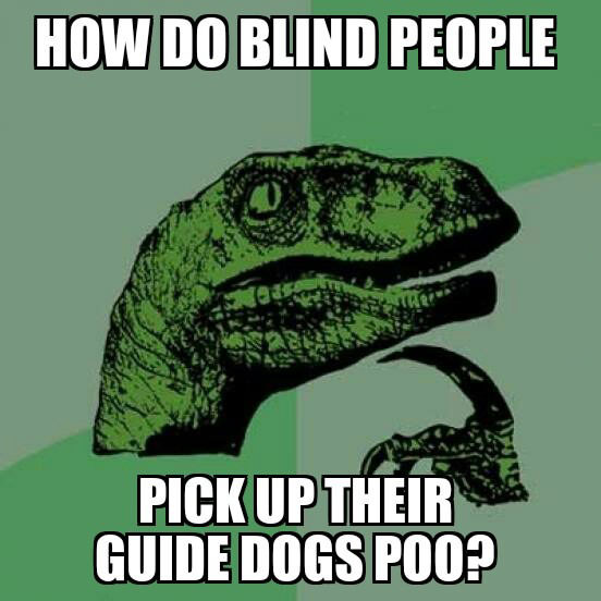 how do blind people pick up their guide dogs poo?, philosopraptor, meme