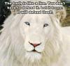 the truth is like a lion, you do not have to defend it, let it loose and it will defend itself