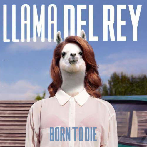 i accidentally googled lama del rey, i wasn't disappointed