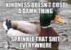 kindness doesn't cost a damn thing, sprinkle that shit everywhere, actual advice mallard, meme