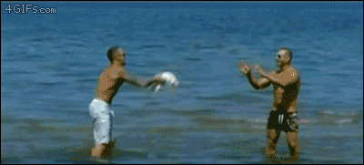 dog throw and catch fail in the water