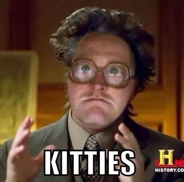 kitties, bubbles, trailer park boys, aliens meme