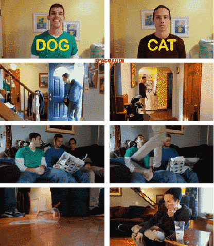 two guys as a dog and a cat