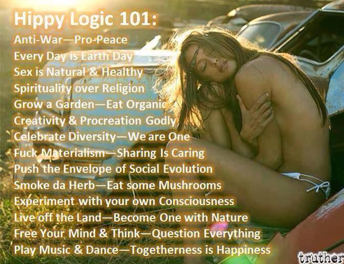 hippy logic 101