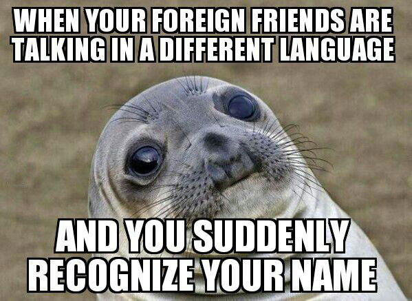 when your foreign friends are talking in a different language and you suddenly recognize your name, awkward moment seal, meme