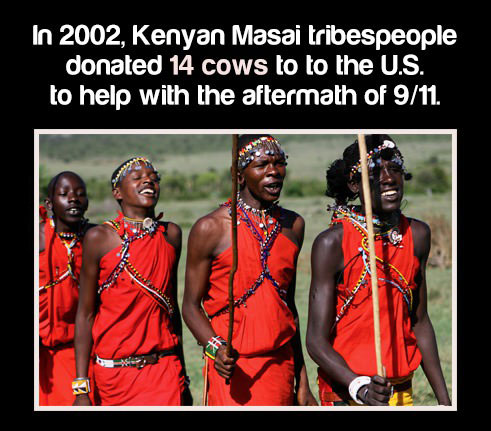 in 2002 kenyan masai tribespeople donated 14 cows to the us to help with the aftermath of 911