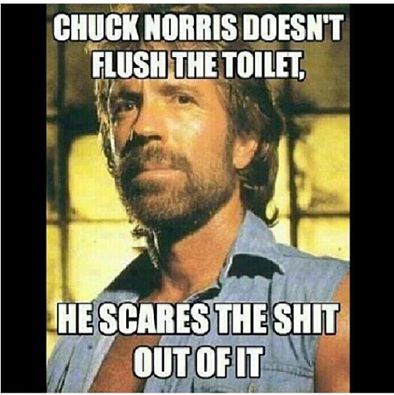 chuck norris doesn't flush the toilet, he scares the shit out of it, meme