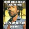 chuck norris doesn't flush the toilet, he scares the shit out of it, meme