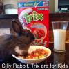 silly rabbit trix are for kids, there's a hare in my cereal