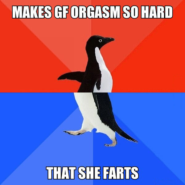 makes gf orgasm so hard that she farts, socially awkward penguin, meme
