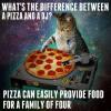 what is the difference between a pizza and a dj?, pizza can easily provide food for a family of four, cat mixing a pizza on a turntable, meme, joke