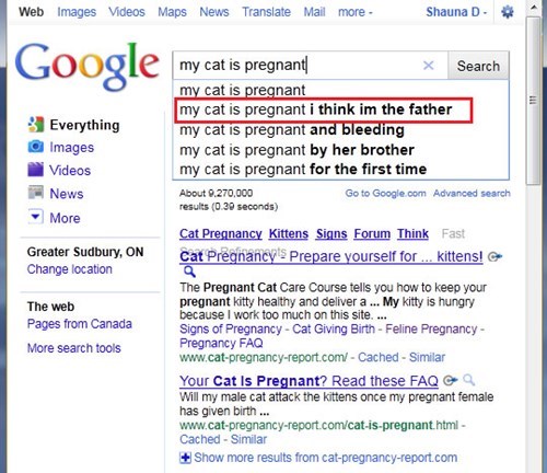 google search autocomplete, my cat is pregnant and i think i am the father, wtf