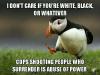 i don't care if you are white or black, cops shooting people who surrender is abuse of power, unpopular opinion puffin, meme