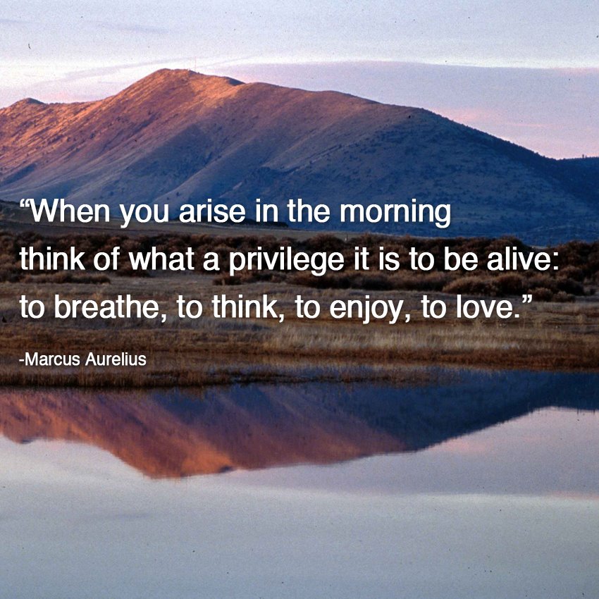 when you arise in the morning think of what a privilege it is to be alive, to breathe to think to enjoy to love, marcus aurelus, life, inspirational quote