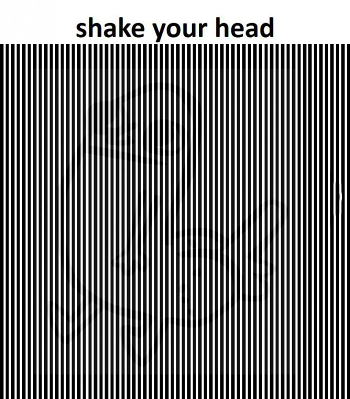 shake your head to see the picture