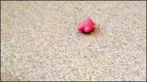 baby armadillo claims toy, mine!