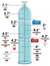 these are the average penis sizes around the world