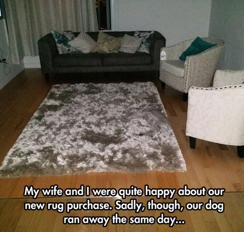 my wife and i were quite happy about our new rug purchase, sadly though our dog ran away the same day, camouflage