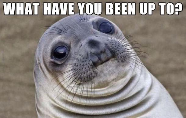 what have you been up to?, awkward moment seal, meme