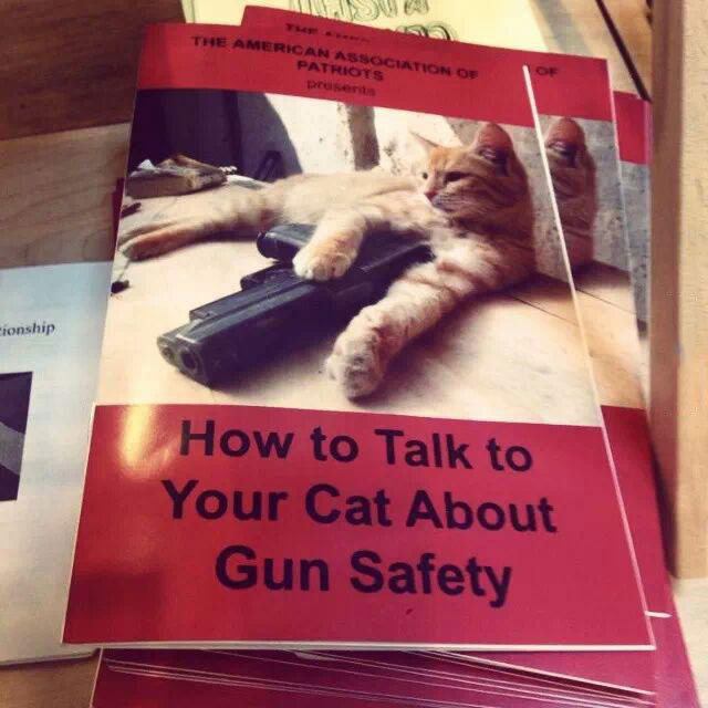 how to talk to your cat about gun safety, pamphlet, wtf