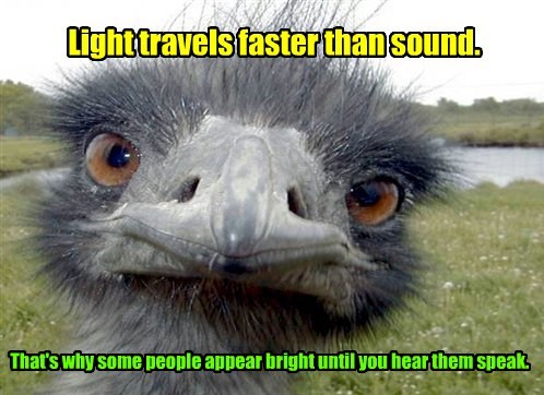 light travels faster than sound, which is why some people appear bright until you hear them speak, meme