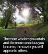the more wisdom you attain and the more conscious you become, the crazier you will appear to others