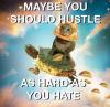 maybe you should hustle as hard as you hate, space pizza cat riding a tortoise, meme