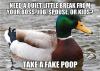 need a quiet little break from your boss, job, spouse or kids?, take a fake poop, actual advice mallard, meme