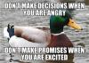 do not make decisions when you are angry, do not make promises when you are excited, actual advice mallard, meme