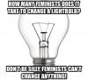 how many feminists does it take to change a lightbulb, don't be silly feminists can't change anything, meme, sexist joke