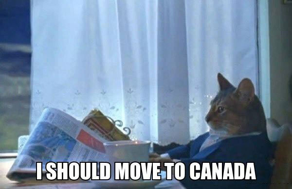 whenever you hear just about anything about life up here, i should move to canada, newspaper cat realization meme