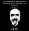 the only serious side effect of marijuana is that you might get arrested, alan watts