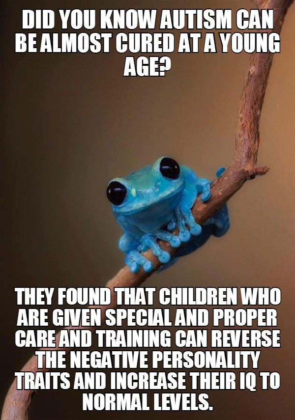 did you know autism can be almost cured at a young age, they that children who are given special and proper care and training can reverse the negative personality traits and increase their iq to normal levels, small fact toad, meme