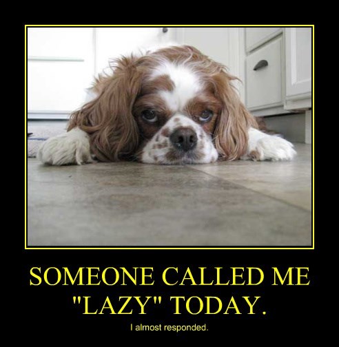 someone called my lazy today, i almost responded, dog, motivation