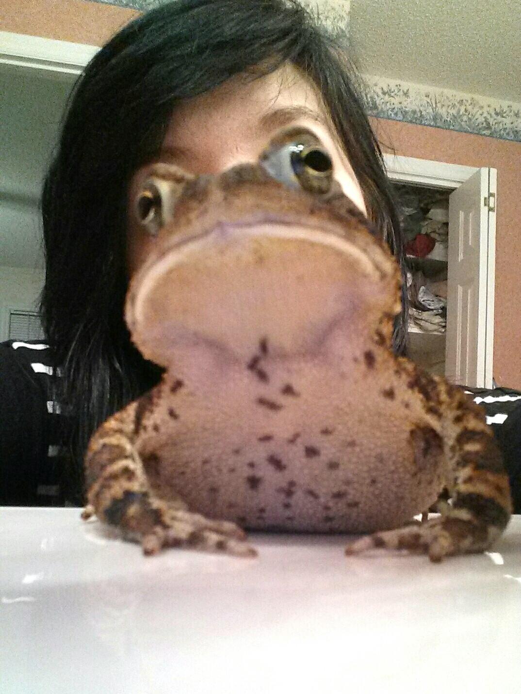 so i turned into a toad last night, perspective, wtf