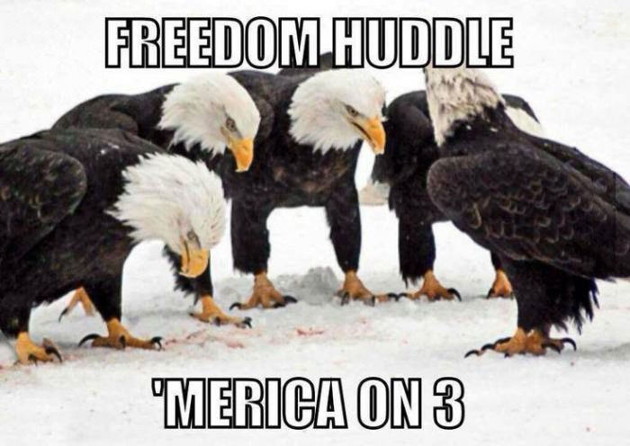 freedom huddle, 'merica on 3, a bunch of bald eagles