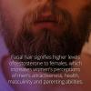 facial hair signifies higher levels of testosterone to females, which increases women's perceptions of men's attractiveness, health, masculinity and parenting abilities