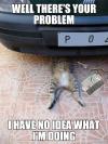 well there's your problem, i have no idea what i'm doing, meme, cat under car as if he was repairing it