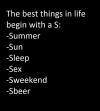 the best things in life start with an s, summer, sun, sleep, sex, sweetened, sbeer