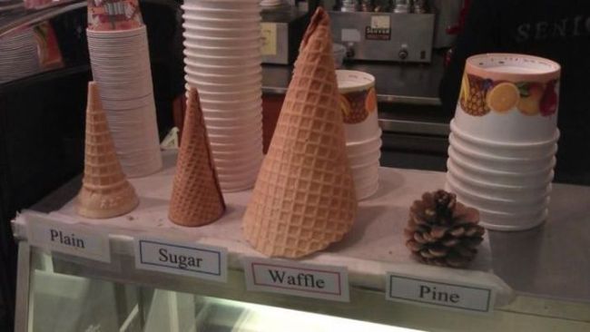 various types of cones, plain, sugar, waffle, pine