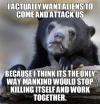 i actually want aliens to come and attack us, because i think its the only way mankind would stop killing itself and work together, confession bear, meme