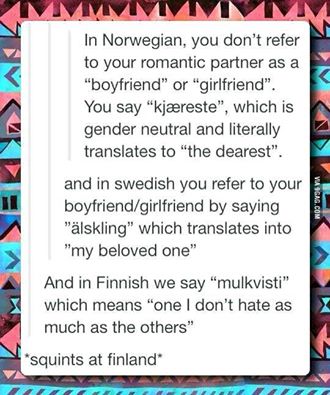 in norwegian you don't refer to your romantic partner as a boyfriend or girlfriend, you say kaereste, which is gender neutral and translate to the dearest, and in finnish we say mulkvisti which means one i don't hate as much as the others