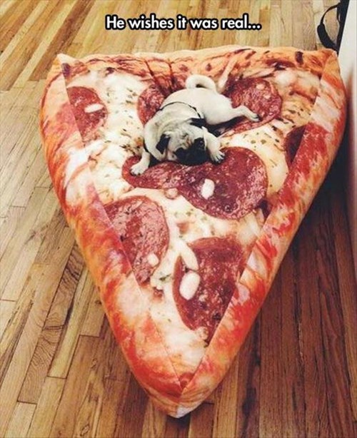 he wishes it was real, pepperoni pizza slice dog bed