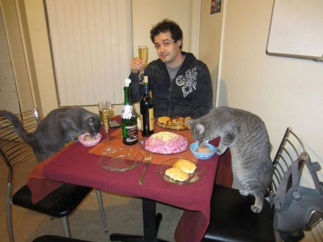 dinner for free with two cats
