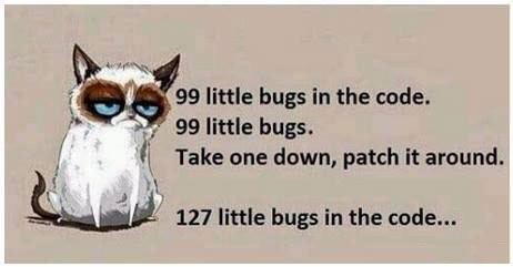99 little bugs in the code, 99 littles bugs, take one down patch it around, 127 little bugs in the code, a programmer's life, grumpy cat