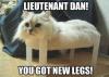 lieutenant dan, you got new legs!, cat on small table looks like the table legs are his own