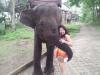 horny elephant gives this girl the reach around