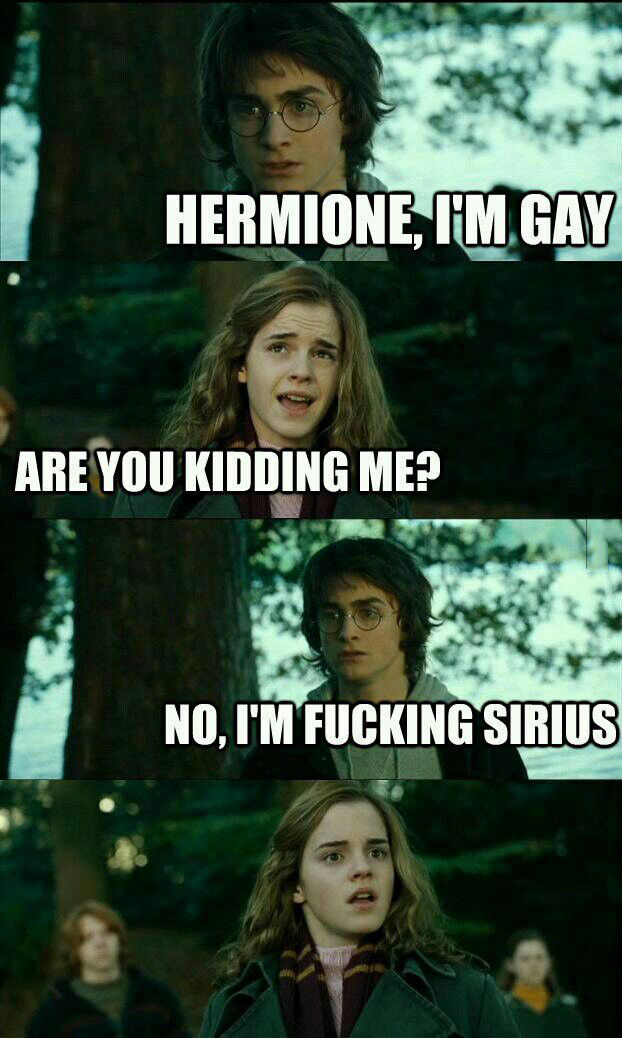 hermione i am gay, are you kidding me?, no i'm fucking sirius