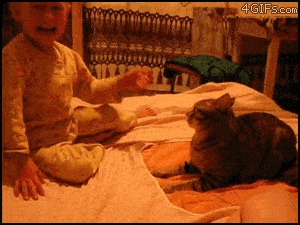 cat gets revenge for kid slapping him, karma